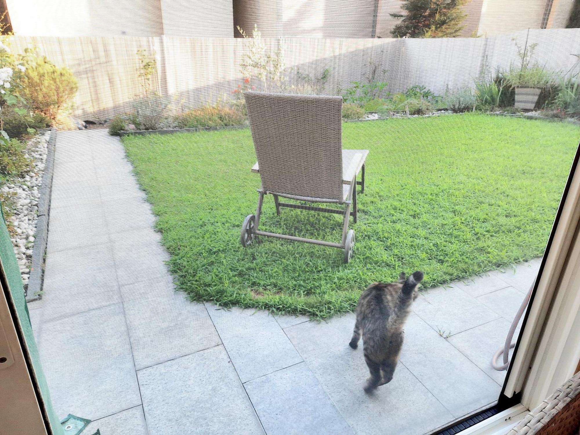 Camera Privata Con Balcone Gordola Zewnętrze zdjęcie